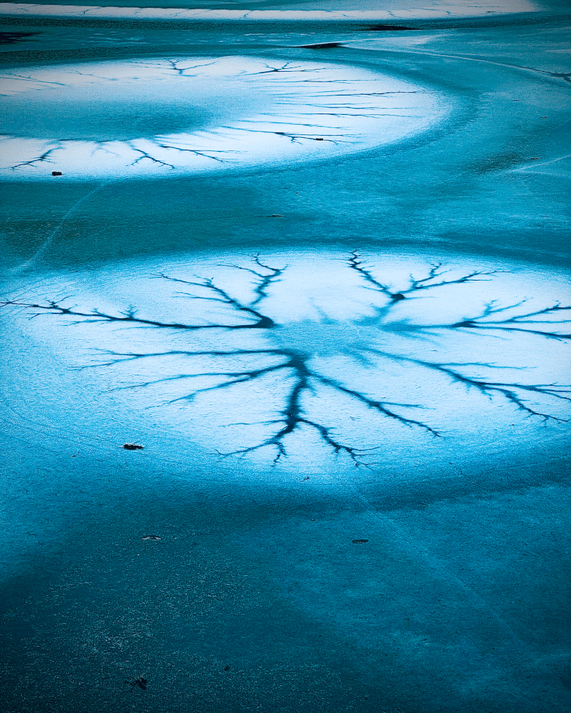 Frozen Lake