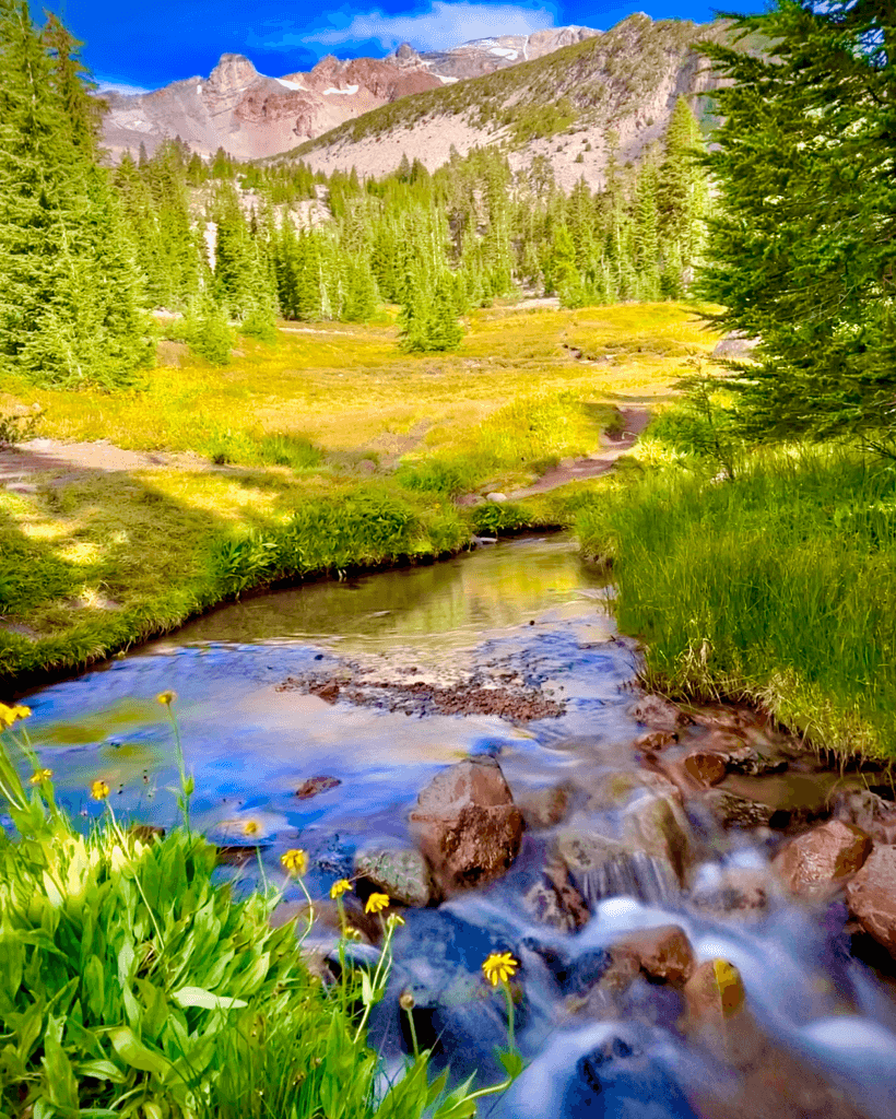 Shasta Hike